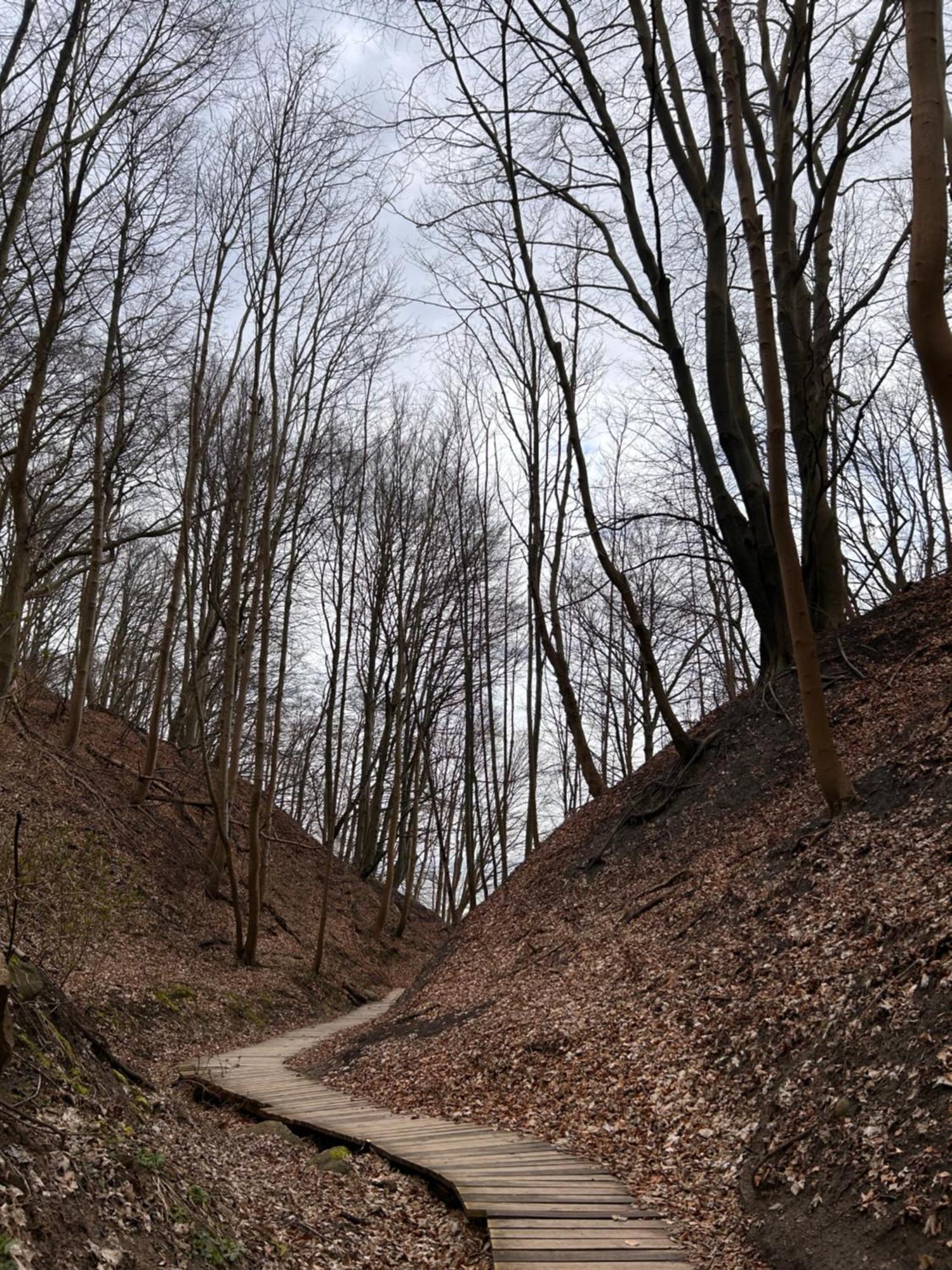 Eden Domki, I Appartamento